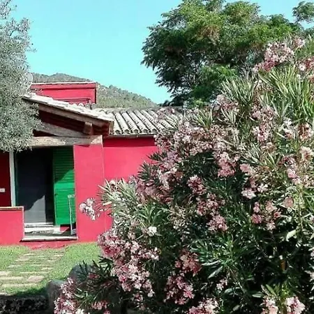 Sole E Sale In Sardegna Pula